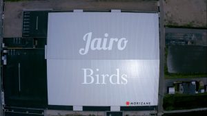 【森実運輸×Jairo birds】タイアップ動画が公開されました！
